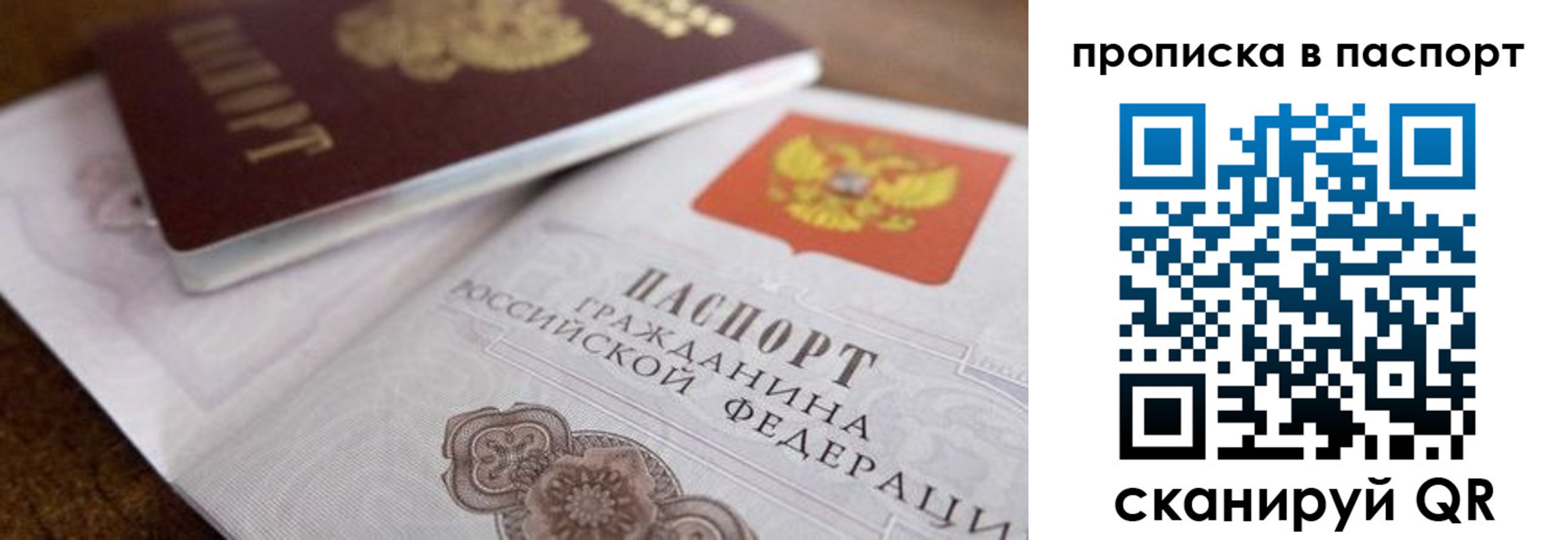 где прописаться в Купино