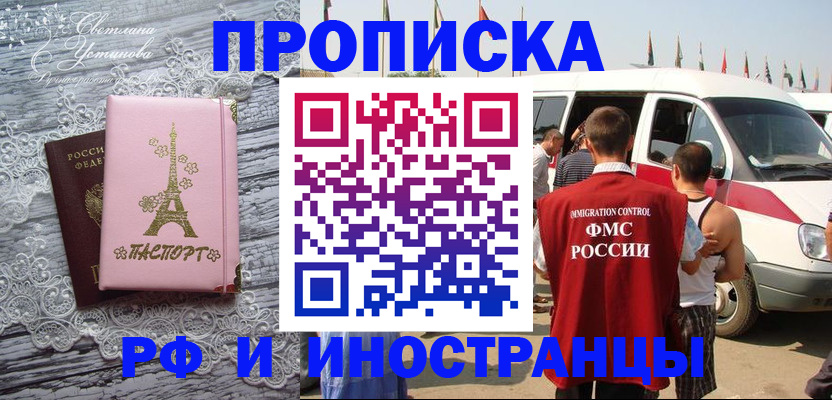 прописка поиск в Купино