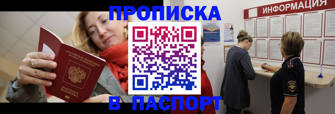 прописка поиск в Купино